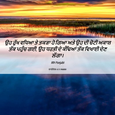 Picture 06 - ਦਾਨੀਏਲ 4:11 PANIRV - ਉਹ ਰੁੱਖ ਵਧਿਆ ਤੇ - Bible Verse Picture