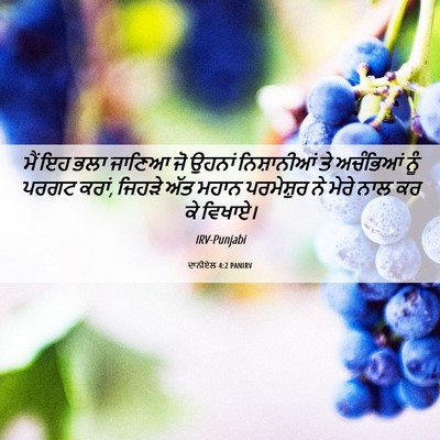 Picture 06 - ਦਾਨੀਏਲ 4:2 PANIRV - ਮੈਂ ਇਹ ਭਲਾ ਜਾਣਿਆ ਜੋ - Bible Verse Picture