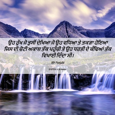 Picture 06 - ਦਾਨੀਏਲ 4:20 PANIRV - ਉਹ ਰੁੱਖ ਜੋ ਤੁਸੀਂ - Bible Verse Picture