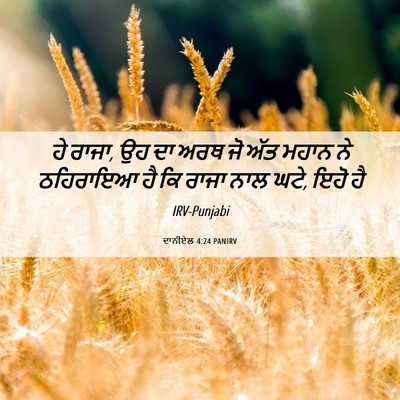Picture 06 - ਦਾਨੀਏਲ 4:24 PANIRV - ਹੇ ਰਾਜਾ, ਉਹ ਦਾ ਅਰਥ - Bible Verse Picture