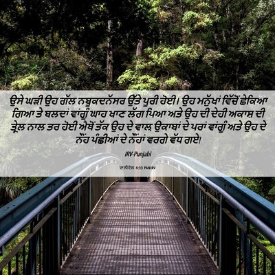 Picture 06 - ਦਾਨੀਏਲ 4:33 PANIRV - ਉਸੇ ਘੜੀ ਉਹ ਗੱਲ - Bible Verse Picture