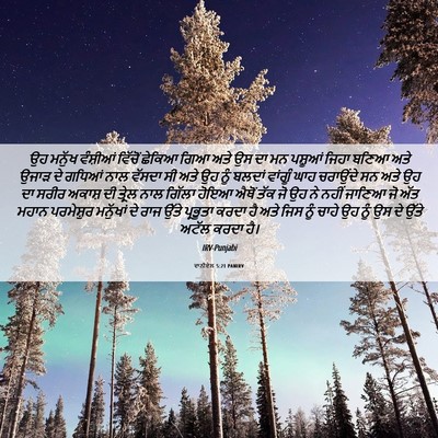 Picture 06 - ਦਾਨੀਏਲ 5:21 PANIRV - ਉਹ ਮਨੁੱਖ ਵੰਸ਼ੀਆਂ - Bible Verse Picture