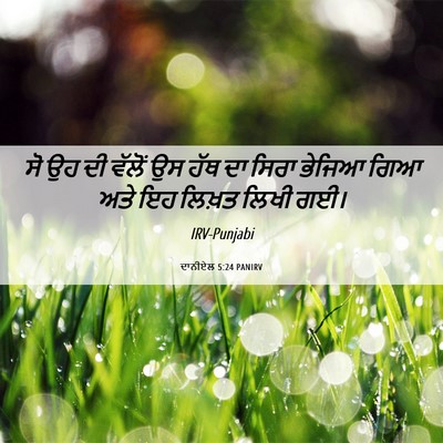 Picture 06 - ਦਾਨੀਏਲ 5:24 PANIRV - ਸੋ ਉਹ ਦੀ ਵੱਲੋਂ ਉਸ - Bible Verse Picture