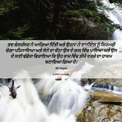 Picture 06 - ਦਾਨੀਏਲ 5:29 PANIRV - ਤਦ ਬੇਲਸ਼ੱਸਰ ਨੇ - Bible Verse Picture