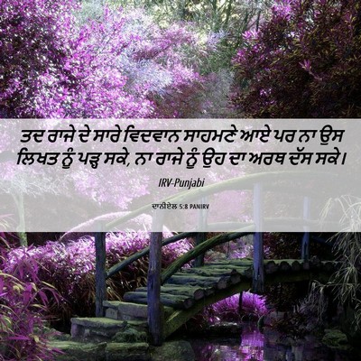 Picture 06 - ਦਾਨੀਏਲ 5:8 PANIRV - ਤਦ ਰਾਜੇ ਦੇ ਸਾਰੇ - Bible Verse Picture