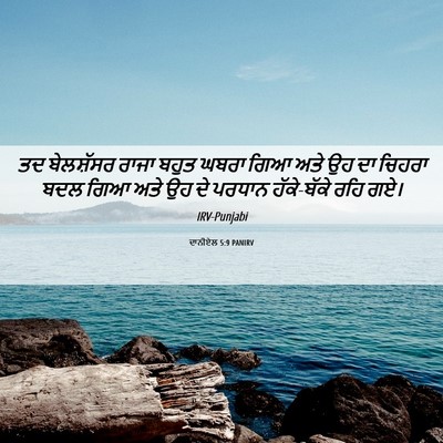 Picture 06 - ਦਾਨੀਏਲ 5:9 PANIRV - ਤਦ ਬੇਲਸ਼ੱਸਰ ਰਾਜਾ - Bible Verse Picture