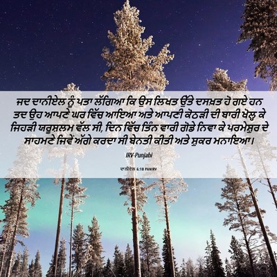 Picture 06 - ਦਾਨੀਏਲ 6:10 PANIRV - ਜਦ ਦਾਨੀਏਲ ਨੂੰ ਪਤਾ - Bible Verse Picture