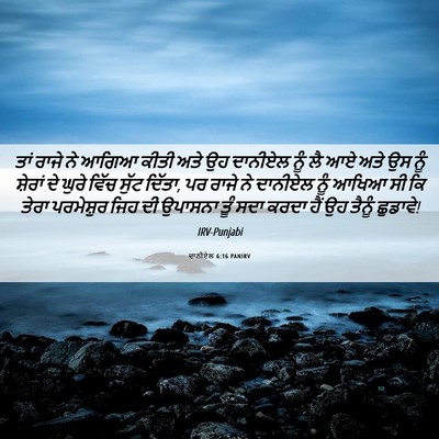 Picture 06 - ਦਾਨੀਏਲ 6:16 PANIRV - ਤਾਂ ਰਾਜੇ ਨੇ ਆਗਿਆ - Bible Verse Picture