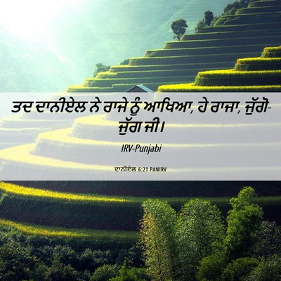 Picture 06 - ਦਾਨੀਏਲ 6:21 PANIRV - ਤਦ ਦਾਨੀਏਲ ਨੇ ਰਾਜੇ - Bible Verse Picture
