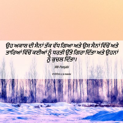 Picture 06 - ਦਾਨੀਏਲ 8:10 PANIRV - ਉਹ ਅਕਾਸ਼ ਦੀ ਸੈਨਾਂ - Bible Verse Picture