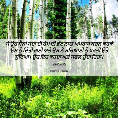 Picture 06 - ਦਾਨੀਏਲ 8:12 PANIRV - ਸੋ ਉਹ ਸੈਨਾਂ ਸਦਾ ਦੀ - Bible Verse Picture