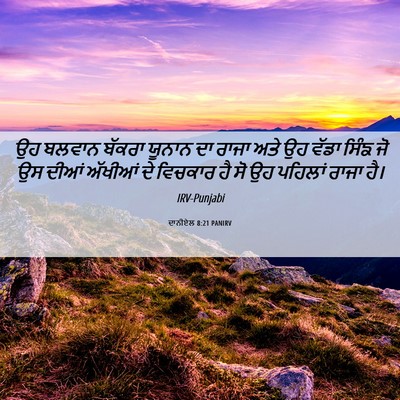 Picture 06 - ਦਾਨੀਏਲ 8:21 PANIRV - ਉਹ ਬਲਵਾਨ ਬੱਕਰਾ - Bible Verse Picture