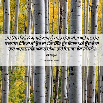 Picture 06 - ਦਾਨੀਏਲ 8:8 PANIRV - ਤਦ ਉਸ ਬੱਕਰੇ ਨੇ ਆਪਣੇ - Bible Verse Picture