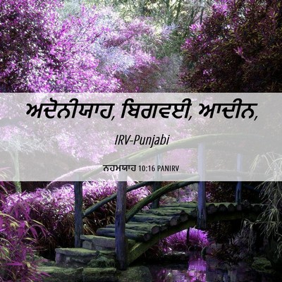 Picture 06 - ਨਹਮਯਾਹ 10:16 PANIRV - ਅਦੋਨੀਯਾਹ, ਬਿਗਵਈ, - Bible Verse Picture