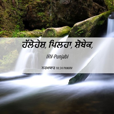 Picture 06 - ਨਹਮਯਾਹ 10:24 PANIRV - ਹੱਲੋਹੇਸ਼, ਪਿਲਹਾ, - Bible Verse Picture
