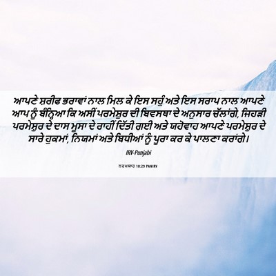 Picture 06 - ਨਹਮਯਾਹ 10:29 PANIRV - ਆਪਣੇ ਸ਼ਰੀਫ ਭਰਾਵਾਂ - Bible Verse Picture