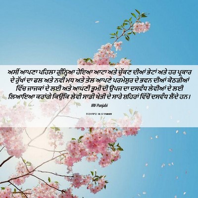 Picture 06 - ਨਹਮਯਾਹ 10:37 PANIRV - ਅਸੀਂ ਆਪਣਾ ਪਹਿਲਾ - Bible Verse Picture