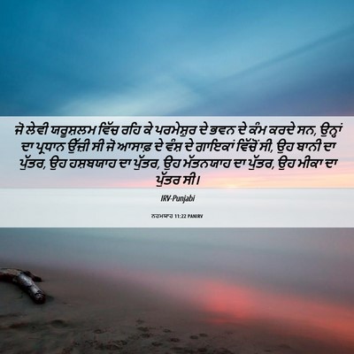 Picture 06 - ਨਹਮਯਾਹ 11:22 PANIRV - ਜੋ ਲੇਵੀ ਯਰੂਸ਼ਲਮ - Bible Verse Picture