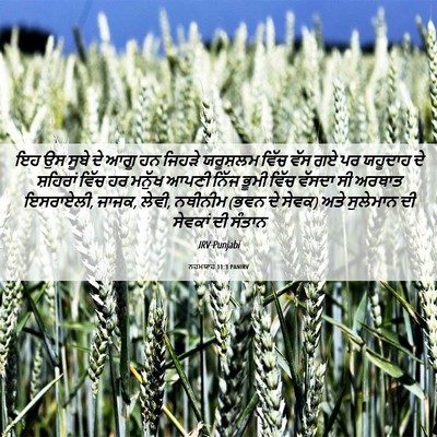 Picture 06 - ਨਹਮਯਾਹ 11:3 PANIRV - ਇਹ ਉਸ ਸੂਬੇ ਦੇ ਆਗੂ - Bible Verse Picture