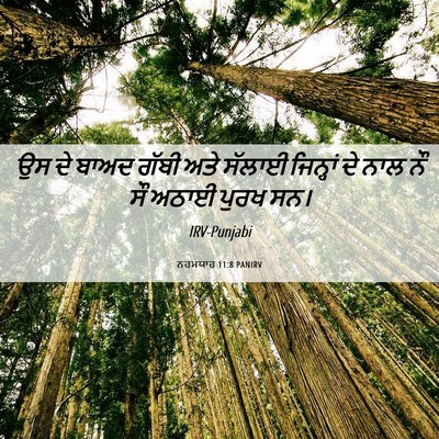Picture 06 - ਨਹਮਯਾਹ 11:8 PANIRV - ਉਸ ਦੇ ਬਾਅਦ ਗੱਬੀ ਅਤੇ - Bible Verse Picture