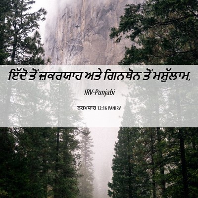 Picture 06 - ਨਹਮਯਾਹ 12:16 PANIRV - ਇੱਦੋ ਤੋਂ ਜ਼ਕਰਯਾਹ - Bible Verse Picture