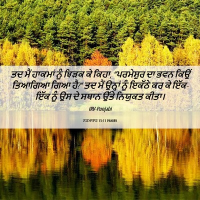 Picture 06 - ਨਹਮਯਾਹ 13:11 PANIRV - ਤਦ ਮੈਂ ਹਾਕਮਾਂ ਨੂੰ - Bible Verse Picture