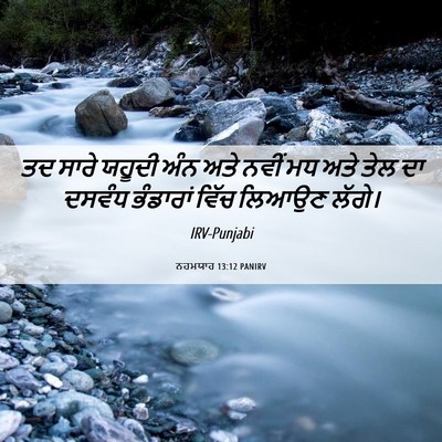 Picture 06 - ਨਹਮਯਾਹ 13:12 PANIRV - ਤਦ ਸਾਰੇ ਯਹੂਦੀ ਅੰਨ - Bible Verse Picture