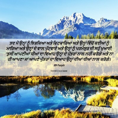 Picture 06 - ਨਹਮਯਾਹ 13:25 PANIRV - ਤਦ ਮੈਂ ਉਨ੍ਹਾਂ ਨੂੰ - Bible Verse Picture