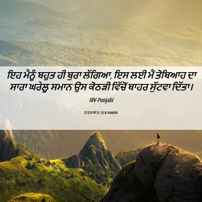 Picture 06 - ਨਹਮਯਾਹ 13:8 PANIRV - ਇਹ ਮੈਨੂੰ ਬਹੁਤ ਹੀ - Bible Verse Picture