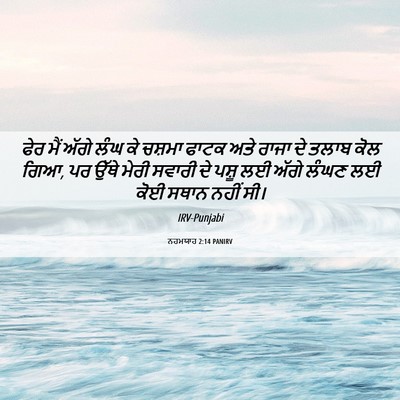 Picture 06 - ਨਹਮਯਾਹ 2:14 PANIRV - ਫੇਰ ਮੈਂ ਅੱਗੇ ਲੰਘ ਕੇ - Bible Verse Picture