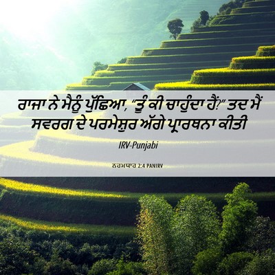 Picture 06 - ਨਹਮਯਾਹ 2:4 PANIRV - ਰਾਜਾ ਨੇ ਮੈਨੂੰ - Bible Verse Picture