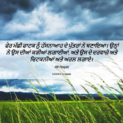 Picture 06 - ਨਹਮਯਾਹ 3:3 PANIRV - ਫੇਰ ਮੱਛੀ ਫਾਟਕ ਨੂੰ - Bible Verse Picture
