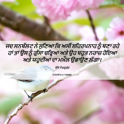 Picture 06 - ਨਹਮਯਾਹ 4:1 PANIRV - ਜਦ ਸਨਬੱਲਟ ਨੇ ਸੁਣਿਆ - Bible Verse Picture