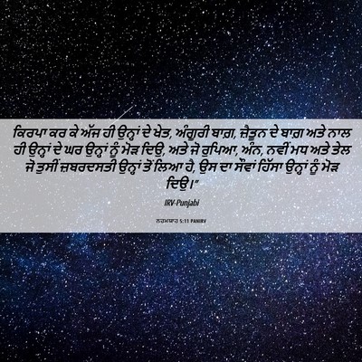 Picture 06 - ਨਹਮਯਾਹ 5:11 PANIRV - ਕਿਰਪਾ ਕਰ ਕੇ ਅੱਜ ਹੀ - Bible Verse Picture