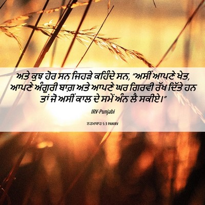 Picture 06 - ਨਹਮਯਾਹ 5:3 PANIRV - ਅਤੇ ਕੁਝ ਹੋਰ ਸਨ - Bible Verse Picture