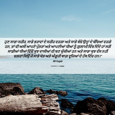 Picture 06 - ਨਹਮਯਾਹ 5:5 PANIRV - ਹੁਣ ਸਾਡਾ ਸਰੀਰ, ਸਾਡੇ - Bible Verse Picture