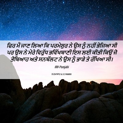 Picture 06 - ਨਹਮਯਾਹ 6:12 PANIRV - ਫਿਰ ਮੈਂ ਜਾਣ ਲਿਆ ਕਿ - Bible Verse Picture