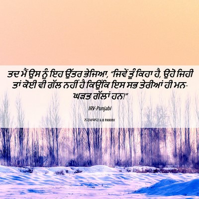 Picture 06 - ਨਹਮਯਾਹ 6:8 PANIRV - ਤਦ ਮੈਂ ਉਸ ਨੂੰ ਇਹ - Bible Verse Picture