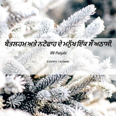 Picture 06 - ਨਹਮਯਾਹ 7:26 PANIRV - ਬੈਤਲਹਮ ਅਤੇ ਨਟੋਫਾਹ - Bible Verse Picture