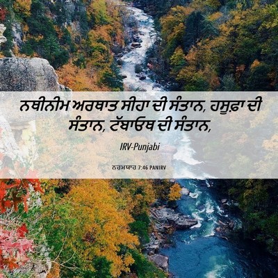Picture 06 - ਨਹਮਯਾਹ 7:46 PANIRV - ਨਥੀਨੀਮ ਅਰਥਾਤ ਸੀਹਾ - Bible Verse Picture
