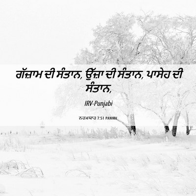 Picture 06 - ਨਹਮਯਾਹ 7:51 PANIRV - ਗੱਜ਼ਾਮ ਦੀ ਸੰਤਾਨ, - Bible Verse Picture