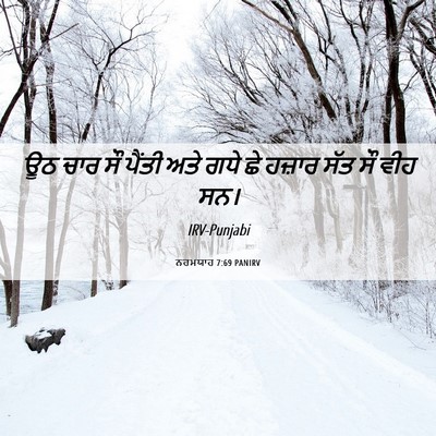 Picture 06 - ਨਹਮਯਾਹ 7:69 PANIRV - ਊਠ ਚਾਰ ਸੌ ਪੈਂਤੀ ਅਤੇ - Bible Verse Picture