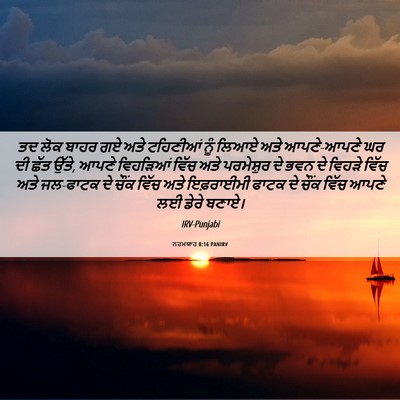 Picture 06 - ਨਹਮਯਾਹ 8:16 PANIRV - ਤਦ ਲੋਕ ਬਾਹਰ ਗਏ ਅਤੇ - Bible Verse Picture