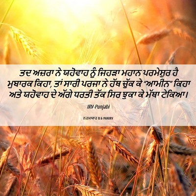 Picture 06 - ਨਹਮਯਾਹ 8:6 PANIRV - ਤਦ ਅਜ਼ਰਾ ਨੇ ਯਹੋਵਾਹ - Bible Verse Picture