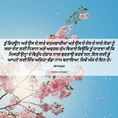 Picture 06 - ਨਹਮਯਾਹ 9:10 PANIRV - ਤੂੰ ਫ਼ਿਰਊਨ ਅਤੇ ਉਸ - Bible Verse Picture