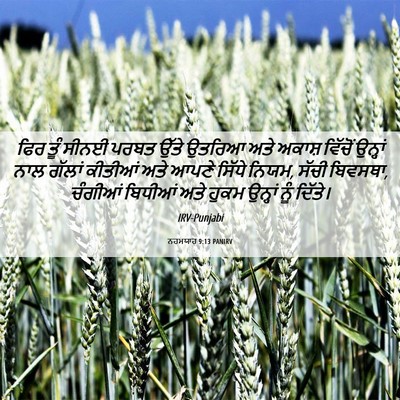 Picture 06 - ਨਹਮਯਾਹ 9:13 PANIRV - ਫਿਰ ਤੂੰ ਸੀਨਈ ਪਰਬਤ - Bible Verse Picture
