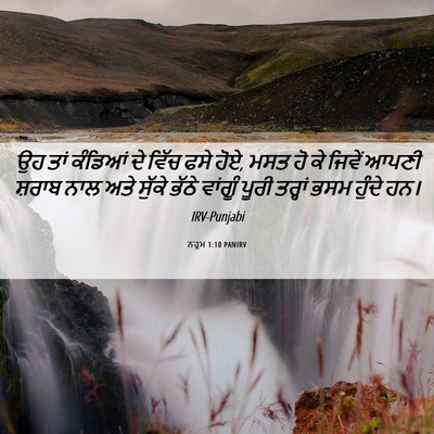 Picture 06 - ਨਹੂਮ 1:10 PANIRV - ਉਹ ਤਾਂ ਕੰਡਿਆਂ ਦੇ - Bible Verse Picture