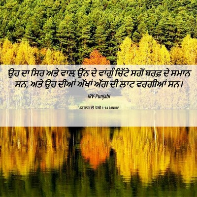 Picture 06 - ਪਰਕਾਸ਼ ਦੀ ਪੋਥੀ 1:14 PANIRV - ਉਹ ਦਾ ਸਿਰ ਅਤੇ ਵਾਲ਼ - Bible Verse Picture
