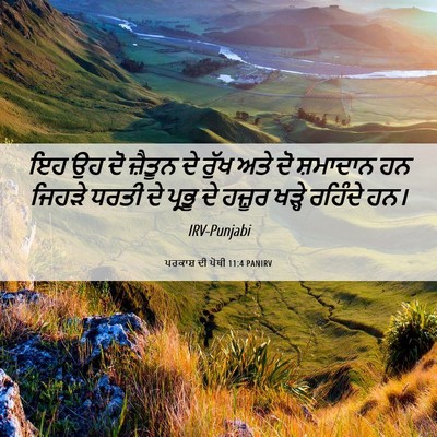 Picture 06 - ਪਰਕਾਸ਼ ਦੀ ਪੋਥੀ 11:4 PANIRV - ਇਹ ਉਹ ਦੋ ਜ਼ੈਤੂਨ ਦੇ - Bible Verse Picture