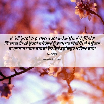 Picture 06 - ਪਰਕਾਸ਼ ਦੀ ਪੋਥੀ 11:5 PANIRV - ਜੇ ਕੋਈ ਉਹਨਾਂ ਦਾ - Bible Verse Picture